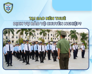 Tại sao nên thuê Ku Casino - chuyên nghiệp?